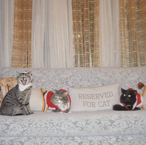 Meet your Posher, Brigette joyce